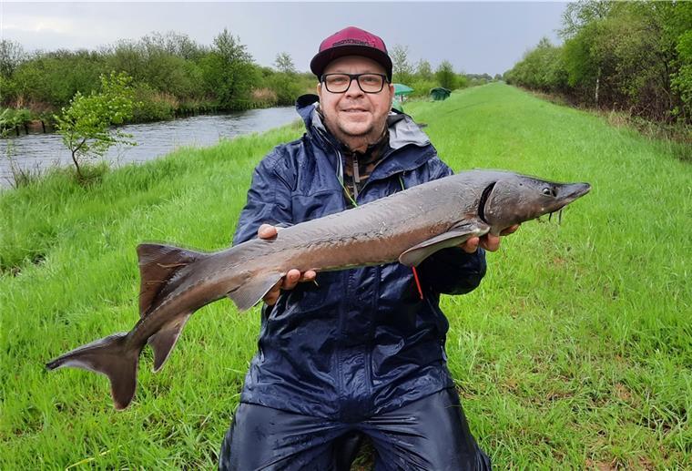 Mega-Fang im Bederkesa-Geeste-Kanal Olaf Hartmann mit seinem besonderen Fang. Der gebürtige Köhlener ist besonders stolz, weil er angenommen hat, dass es sich um einen der seltenen Europäischen Störe handelt.