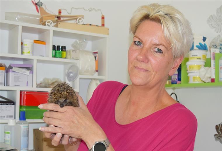 Igel stehen vor dem Aus - wir Menschen haben Mitschuld Eine Frau hält einen ausgehungerten Igel hoch.