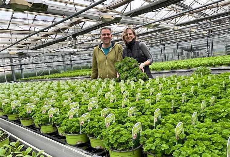 „Pflanzen aus dem Cuxland“: Kräuter-Betrieb setzt auf 100 Prozent Bio Oliver und Sonja Krebs sind stolz auf ihre gut wachsenden Bio-Kräuter.