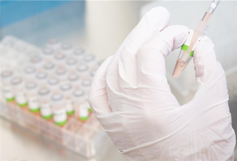 Inzidenzwert in der Wesermarsch am Sonntag bei 449,6 Omikron ist weiter auf dem Vormarsch.