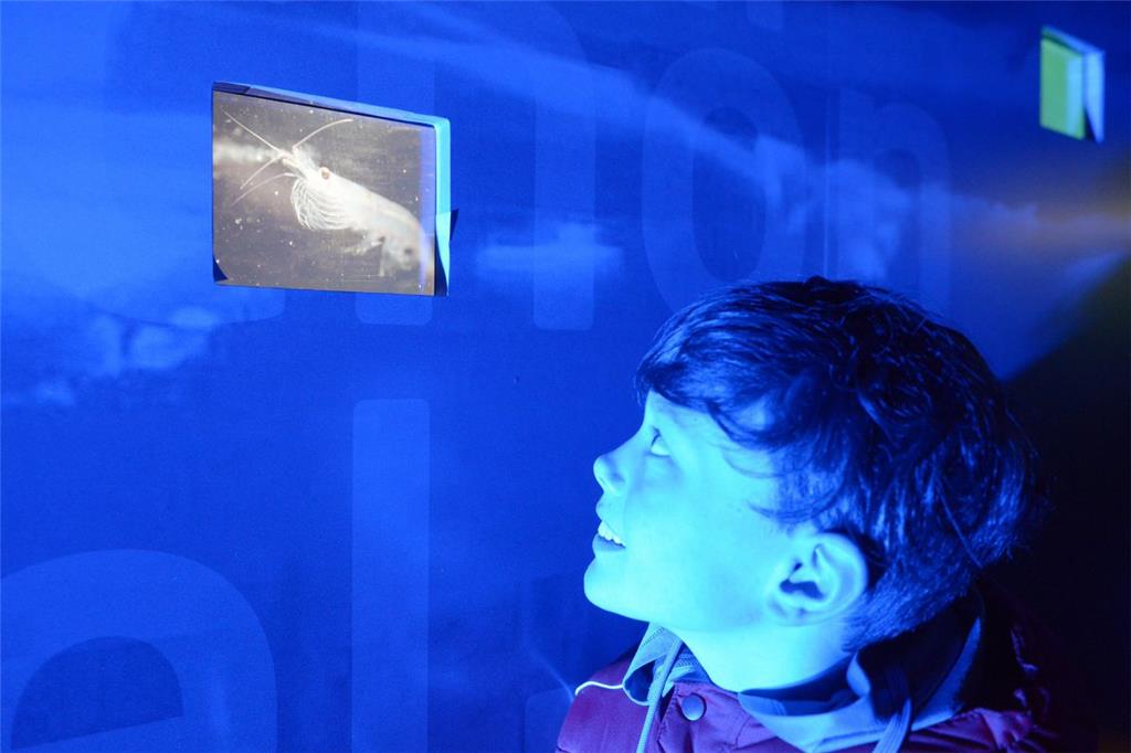 Open Ship auf der &quot;Polarstern&quot;: Joshua. Foto Schimanke