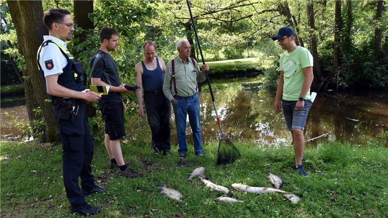 Sauerstoffmangel und Hitze sorgen für Fischsterben im Sittenser Mühlenteich