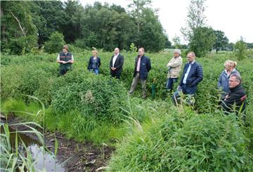 Ortstermin im Grünen: Auf einem Areal mit abgestorbenen Eschen im Forstort Falle soll sich ein Auenwald entwickeln. Landesforsten und Naturschutzstiftung haben ein kleines flaches Gewässer angelegt und Flatterulmen gepflanzt – Lebensraum für Tiere und Pflanzen.