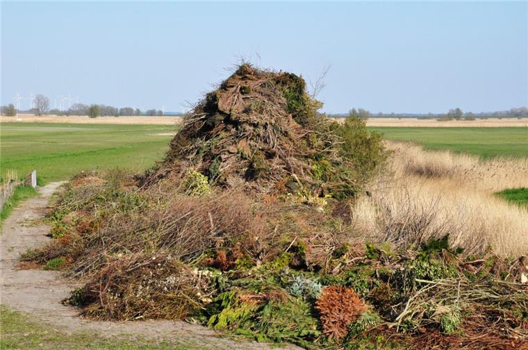 Stadland: Osterfeuer soll direkt neben Naturschutzgebiet brennen Osterfeuer neben Naturschutzgebiet: So sieht es vorm Deich in Strohausen in der Gemeinde Stadland aus.