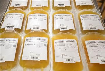 Beutel mit gespendetem Plasma mit Antikörpern gegen das Corona-Virus. 