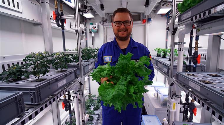 Voll genial: Dieser Forscher erntet Gurken und Salat in der Antarktis Paul Zabel hat in der Antarktis frischen Salat geerntet.