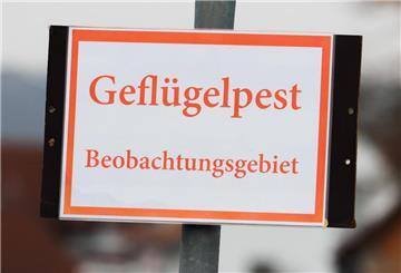 Schild, auf dem steht "Geflügelpest Beobachtungsgebiet"