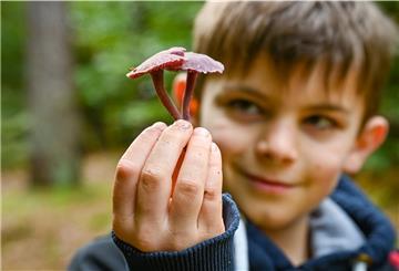 Ein Kind hält zwei Pilze hoch.