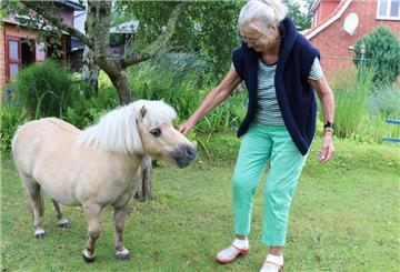 Pferd Frau Garten