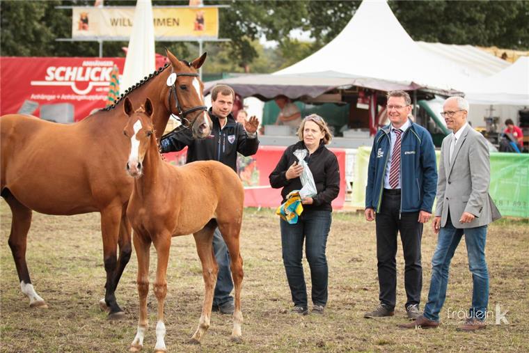 Tarmstedter Ausstellung 2019: Der Norden trifft sich zum Tierschau-Jubiläum Pferdeliebhaber, Familien, Landwirte - bei der Tarmstedter Ausstellung 2019 ist für alle etwas dabei.