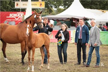 Pferdeliebhaber, Familien, Landwirte - bei der Tarmstedter Ausstellung 2019 ist für alle etwas dabei.