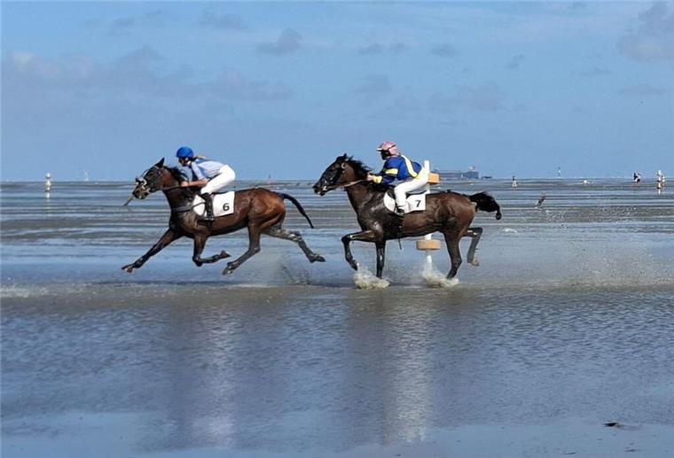 Trotz Kritik! Traditionelles Pferderennen im Watt der Nordsee findet statt Auf dem Meeresboden vor Cuxhaven reiten Teilnehmer durchs Watt.