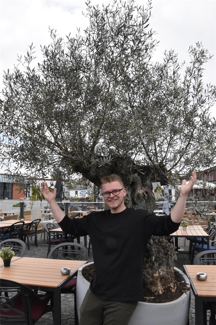 Phillip Ausborn ist stolz auf den uralten Olivenbaum auf seiner Außenterrasse.