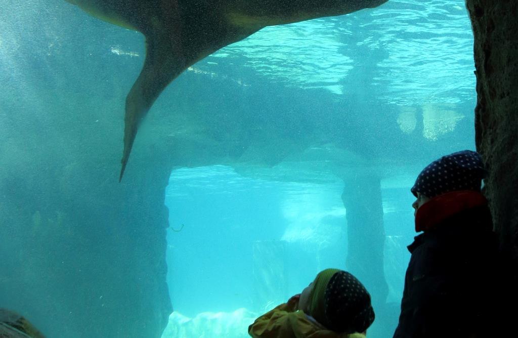 Zoo am Meer