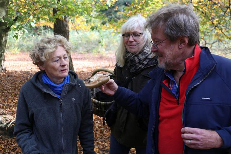 Pilzexperte und Referent Peter Krahl erklärt den Kursteilnehmerinnen Marlene Anders-Lacher (Mitte) und Gudrun Krahl, was für ein Pilz hier gefunden wurde. Das Seminar ist eine Veranstaltung der NoLa Geestenseth.