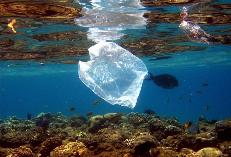 Studie zeigt: Bis zu elf Millionen Tonnen Müll befinden sich auf dem Meeresgrund Plastikmüll ist ein großes Problem in den Meeren.