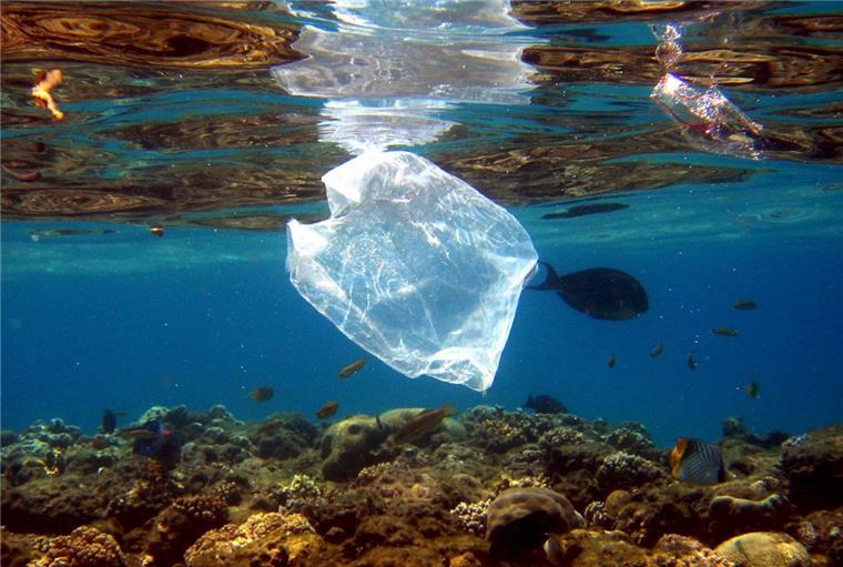 Nordenham: Kampf gegen Plastikmüll Plastikmüll ist eines der größten Umweltprobleme der heutigen Zeit. Besonders die Meere scheinen voll davon zu sein. Jedes Jahr landen darin weltweit 4,8 bis 12,7 Millionen Tonnen.