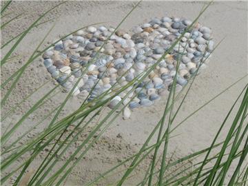 Platz sieben: &quot;Muschelherz in den Dünen&quot; von Nicole Ollhoff.