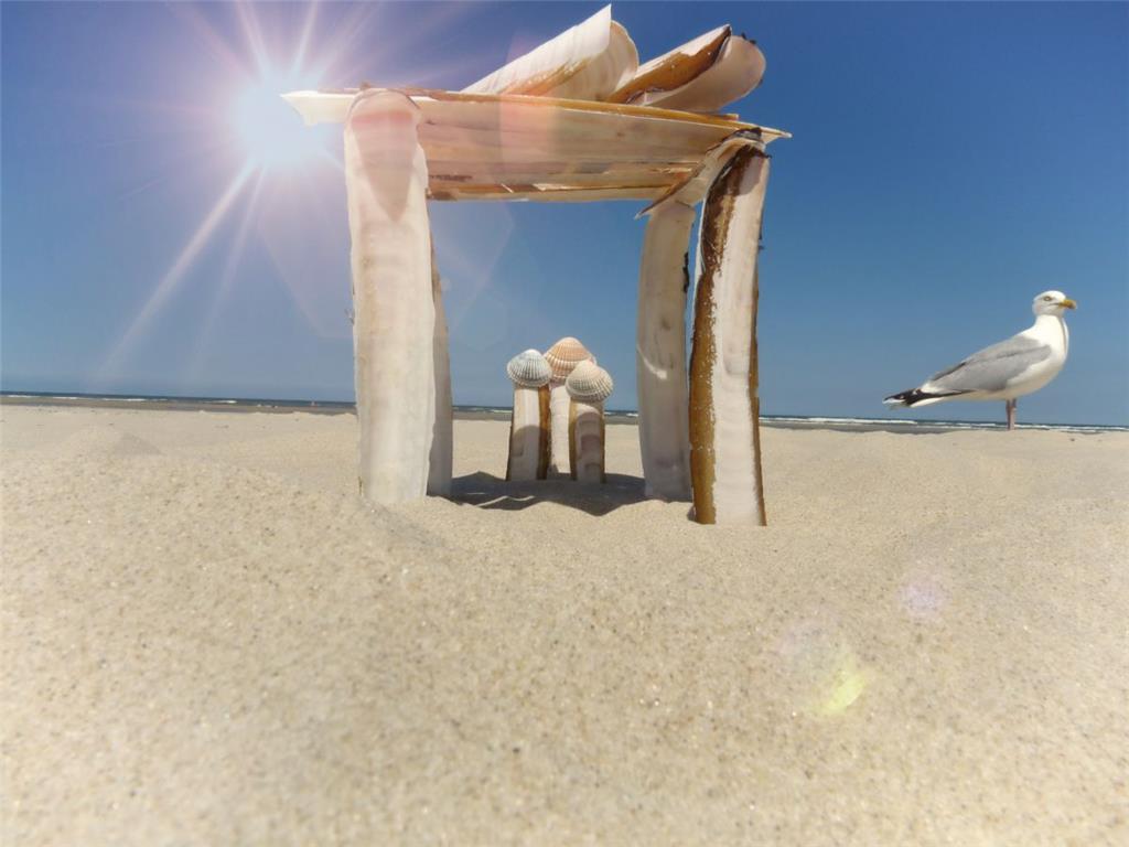 Platz vier: &quot;Muschelhaus mit Möwe und Sonne&quot; von Nicole Ollhoff.