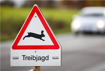 Ein Straßenschild weist auf eine Treibjagd hin. (zu dpa: «Leiche bei Treibjagd im Wald entdeckt»)