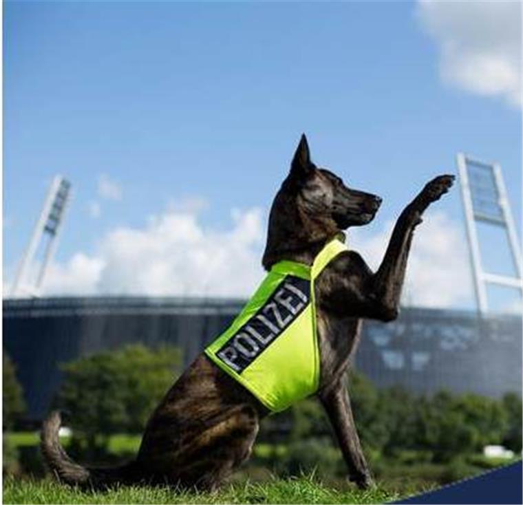 Feines Näschen: Polizeihund "Crawford" überführt Gauner Polizeihund "Crawford" hat in Bremen zwei Gauner überführt.