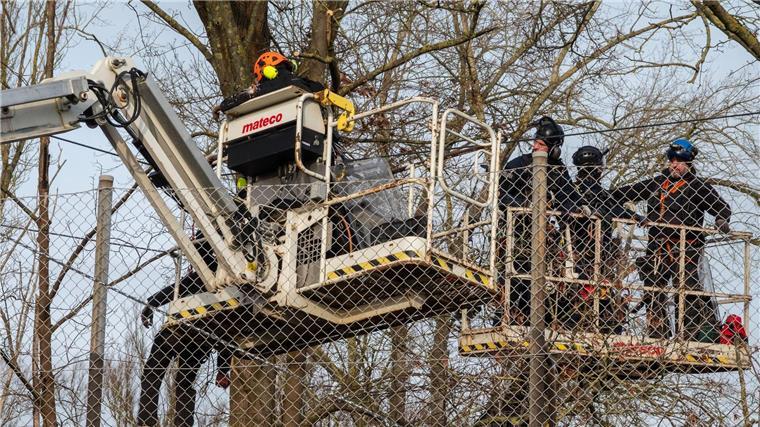 Polizei holt letzte Aktivisten aus Baumhäusern Polizisten holen mithilfe eines Hubsteigers einen Aktivisten von Seilen zwischen Bäumen.