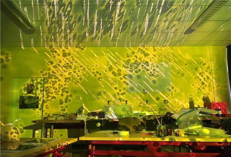 Geestemünde: Schüler zeigen Kunstprojekt Probeprojektion im Kunstraum: Schülerinnen und Schüler haben künstlerische Miniaturen in überdimensionale Lichtbilder umgesetzt.