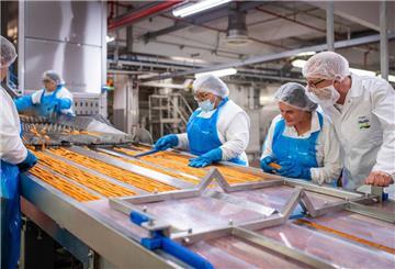 Produktion der veganen Stäbchen