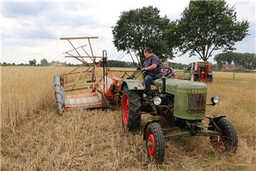 Puck, ein Mähbinder der Firma Fella aus den 1950er Jahren, wird am Sonntag, 18. August, beim Dreschfest in Klein Meckelsen in Aktion zu sehen sein.
