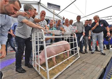 &quot;Die Legenden&quot; haben Jolanthe ersteigert. 