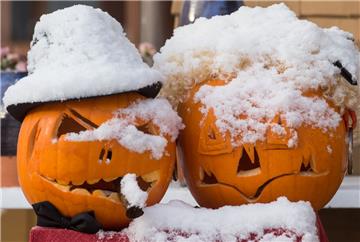 &quot;Schneemänner&quot; mal anders: Schnee liegt gestern in Hinterzarten (Baden-Württemberg) auf zwei Halloween-Kürbissen.