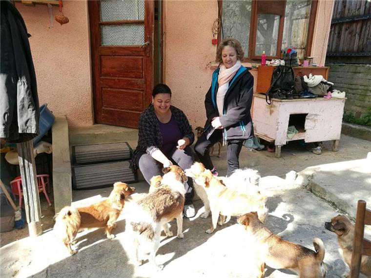 Ein Herz für rumänische Hunde Ramona Mirabella Dumitru Rotunjeanu (links) setzt sich bereits seit zehn Jahren für die Hunde in Rumänien ein. Gudrun Waackhusen will sie künftig unterstützen.