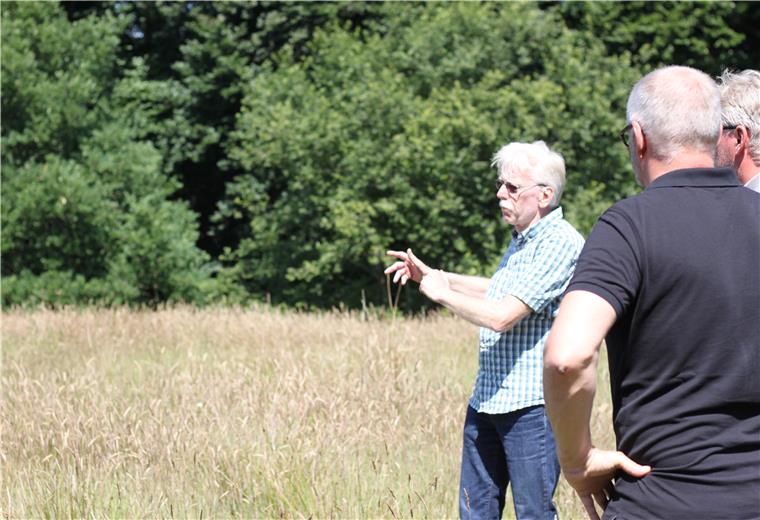 Auf dem Königsberg in Tarmstedt soll eine Natur-Oase entstehen Ratsherr Henry Michaelis (links) zeigt Möglichkeiten für eine Freifläche auf. Viele Insektenarten sind bedroht. Der Bestand an Wildbienen ist in den letzten Jahren sogar um 75 Prozent geschrumpft. In Tarmstedt versucht man, diese Entwicklung zu stoppen und plant eine Natur-Oase am Ortsrand.