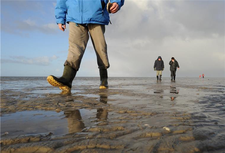 Tipps für Winterurlaub an der Küste Raue Natur, salzige Luft: Nicht nur der Strand auf Borkum lockt auch im Winter naturverbundene Urlauber an.
