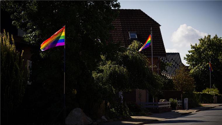 Wahrenholz: Ein Dorf sieht bunt Regenbogenfahnen wehen in einer Straße in Wahrenholz.