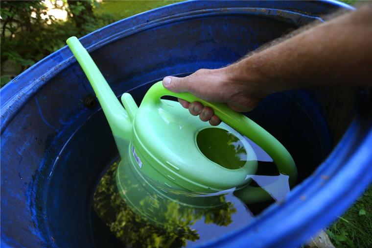Beverstedter müssen bald eine Regenwassergebühr bezahlen Regenwasser im Garten aufzufangen ist eine sinnvolle Sache. Die Regenwassergebühr zahlen nur Grundstücksbesitzer, die ihr Regenwasser abgebe