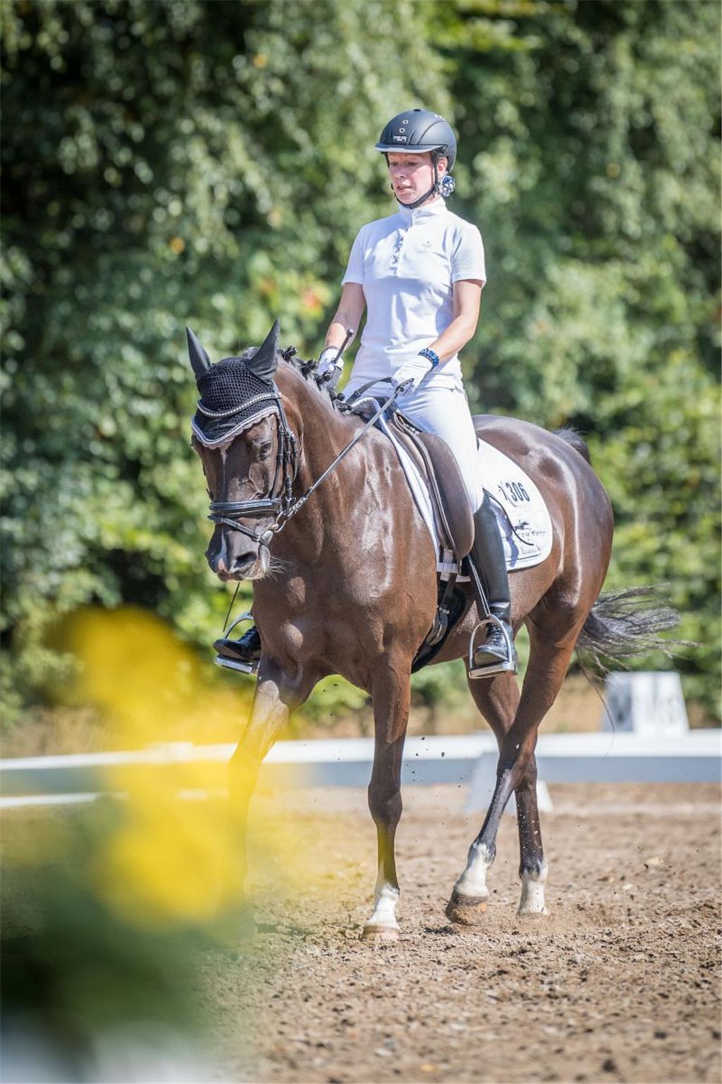 Reiterin Carolin Schütz auf Pferd Nicolas Flamel. Elmloher Reitertage 2018. Foto...