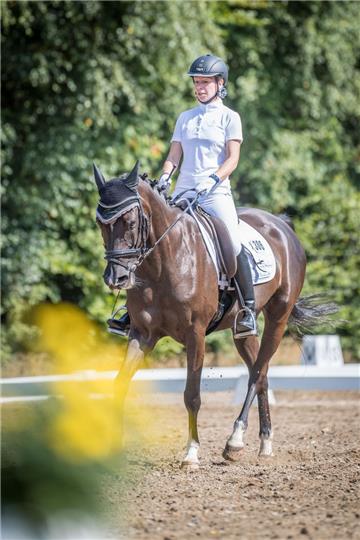 Reiterin Carolin Schütz auf Pferd Nicolas Flamel. Elmloher Reitertage 2018. Foto...