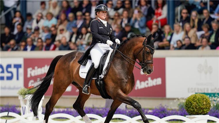 Letzte Chance: Rekordreiterin Werth bangt um Olympia-Ticket Rekordreiterin Isabell Werth kämpft in dieser Woche in Aachen um ein Olympia-Ticket.