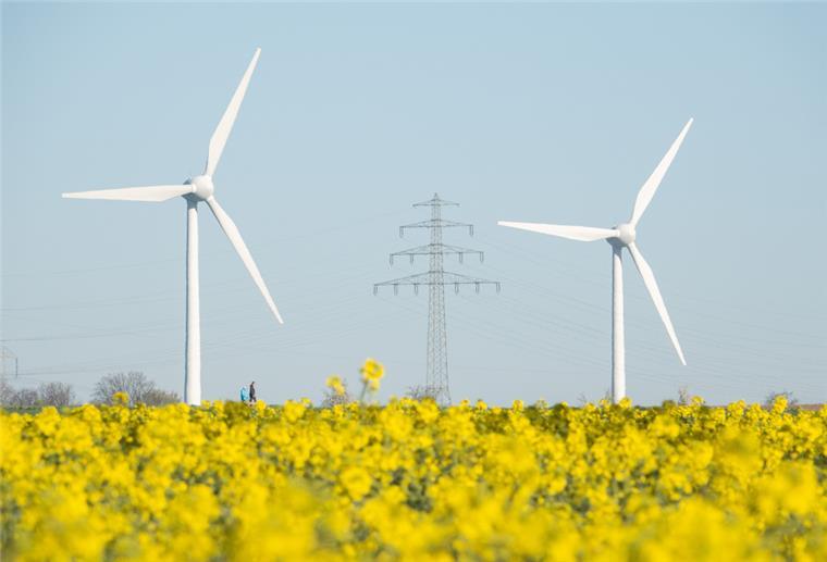 Zwei Windräder stehen hinter einem blühenden Rapsfeld. Im Hintergrund eine Stromleitung.
