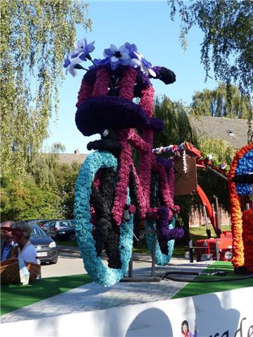 Rodenkircher Marktumzug 2019