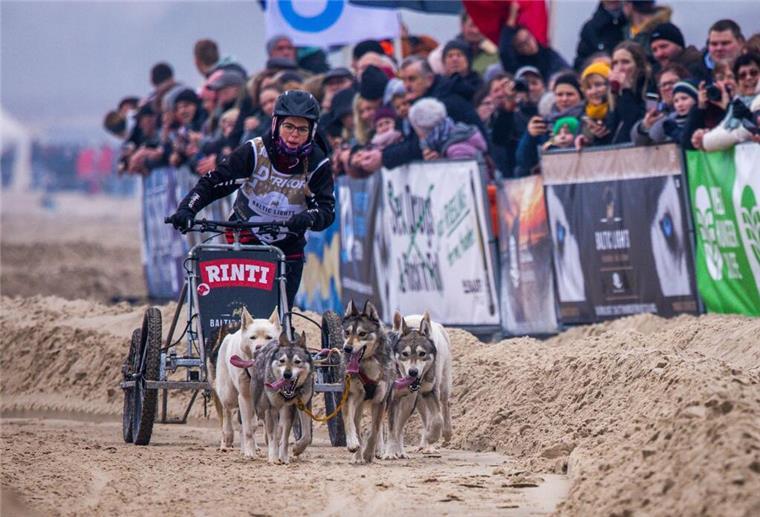 Promis jagen auf Hundeschlitten über den Strand Ronja Wagner mit ihrem Hundegespann beim Schlittenhunderennen „Baltic Lights“ auf der Insel Usedom.