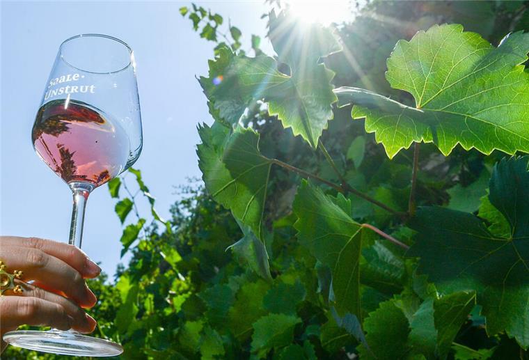 Diesen Wein trinken die Deutschen am liebsten Rosé-Wein liegt im Trend. Rotwein dagegen kommt bei den Deutschen nicht mehr so gut an.