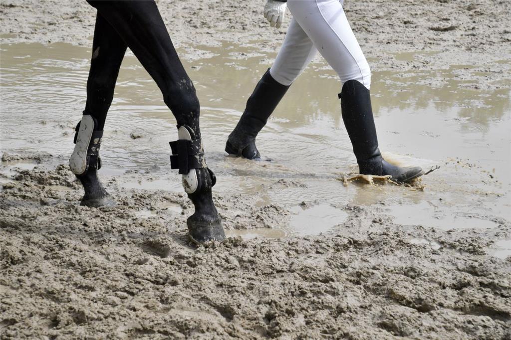 Ross und Reiter stapfen durch den feuchten Untergrund. Foto: Scheschonka