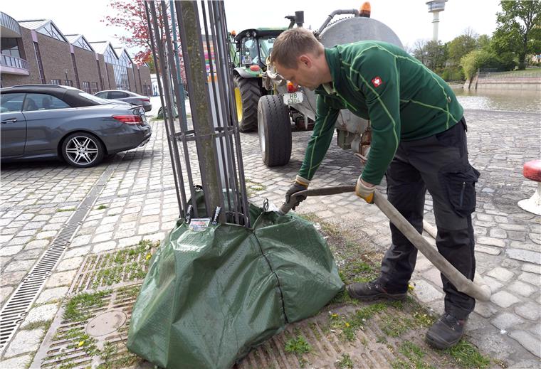 Wassersäcke für Jungbäume in Bremerhaven Rund 100 Liter fasst ein solcher Wassersack, der - einmal befüllt - durch Tröpfchenbewässerung kontinuierlich innerhalb von acht Stunden seinen Inhalt an den Baum abgibt.