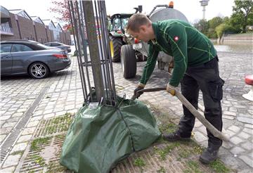 Rund 100 Liter fasst ein solcher Wassersack, der - einmal befüllt - durch Tröpfchenbewässerung kontinuierlich innerhalb von acht Stunden seinen Inhalt an den Baum abgibt.