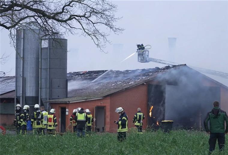 Millionenschaden: Brand in Putenmastbetrieb in Ganderkesee Feuerwehrmänner löschen am Montagmorgen einen Brand in einem Putenmast-Stallgebäude in Ganderkesee im Landkreis Oldenburg.