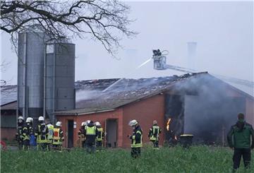 Feuerwehrmänner löschen am Montagmorgen einen Brand in einem Putenmast-Stallgebäude in Ganderkesee im Landkreis Oldenburg. 