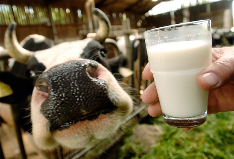 Fakten rund um die Milch Rund 32,6 Millionen Tonnen Kuhmilch sind im vergangenen Jahr in deutschen Molkereien verarbeitet worden.