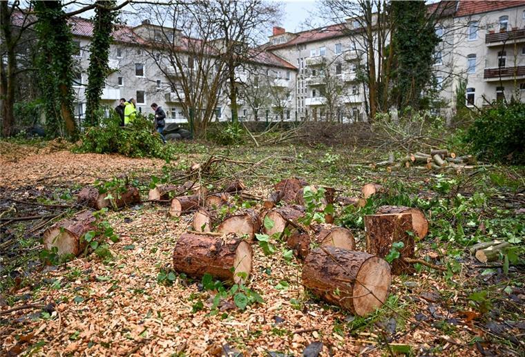 Stadt hat Grundstück Poststraße 13 Jahre lang entgiftet Rund 6000 Quadratmeter groß ist das Grundstück, das vom Umweltamt ab 2008 von Schadstoffen gereinigt worden ist.